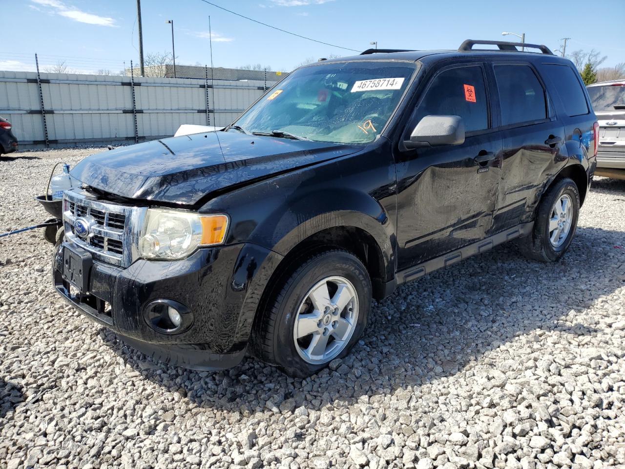2012 FORD ESCAPE XLT