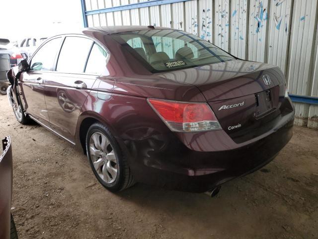 2010 Honda Accord Exl - Фото 2