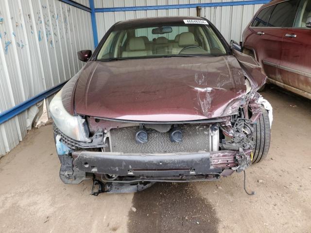 2010 Honda Accord Exl - Фото 5