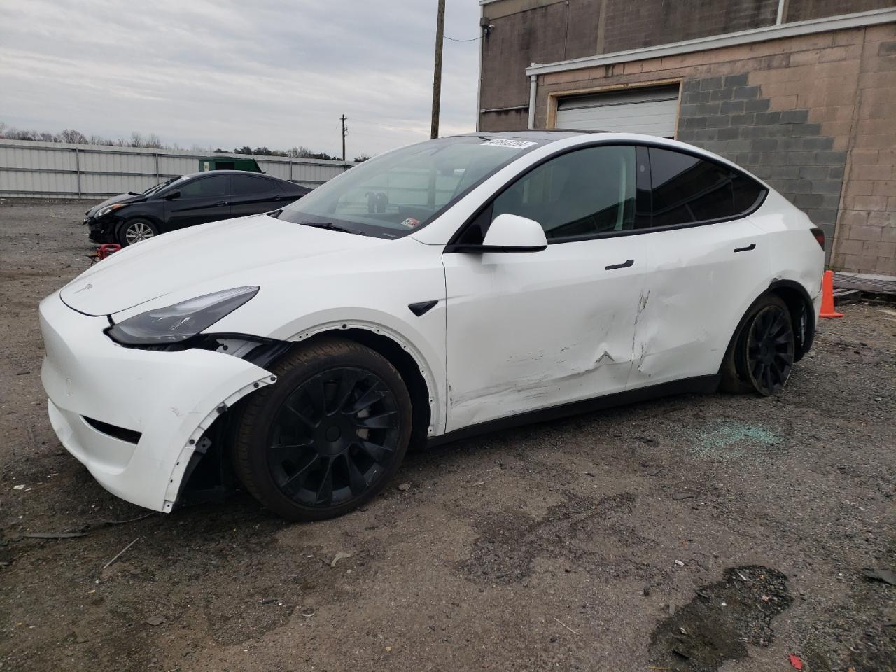 2023 TESLA MODEL Y car image