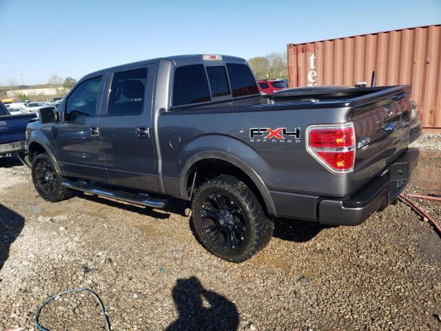 2010 Ford F150 Supercrew - Фото 2