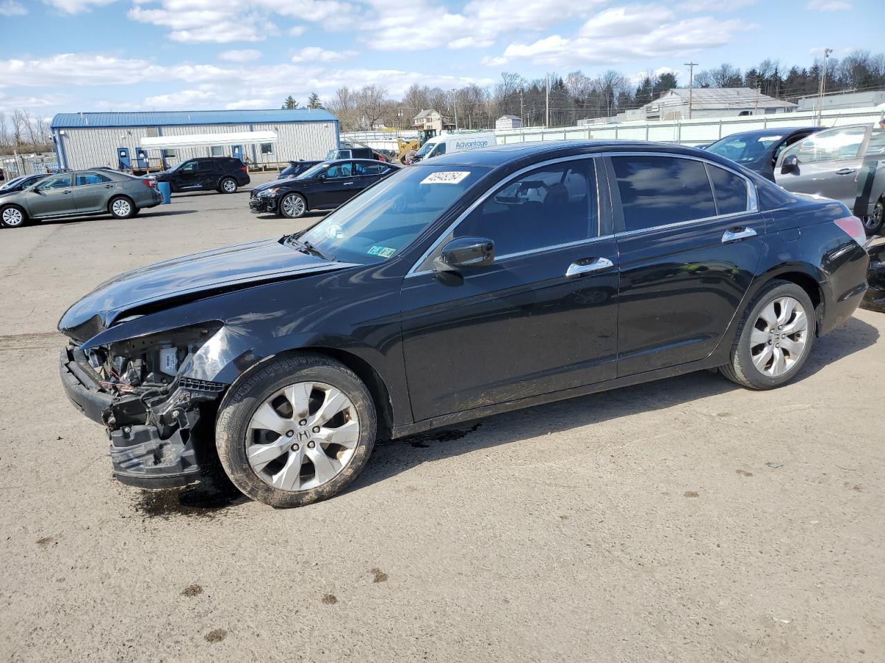 2010 HONDA ACCORD EXL