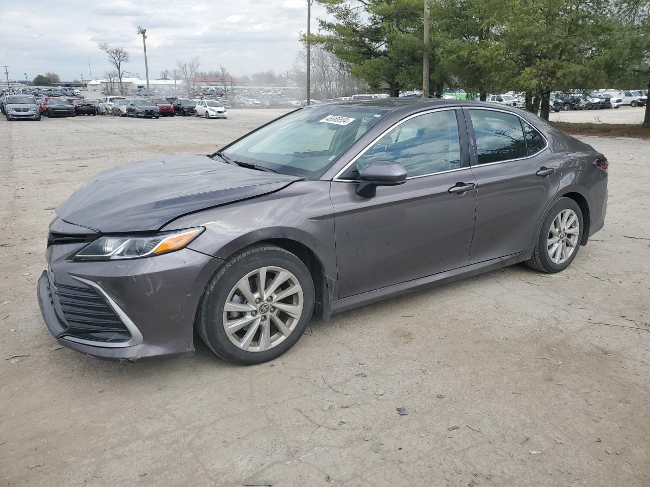 2023 TOYOTA CAMRY LE