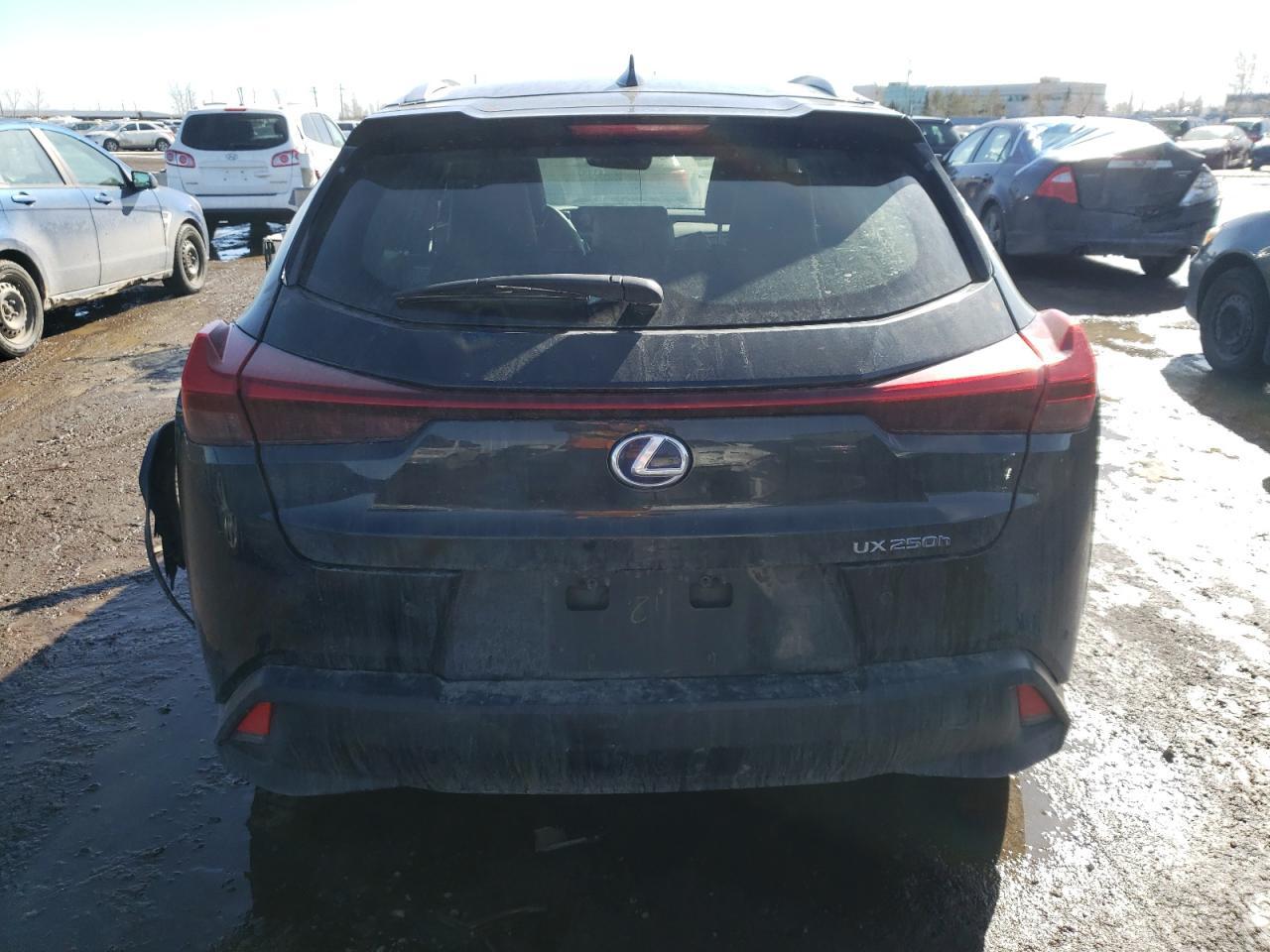 2020 LEXUS UX 250H - Фото 6