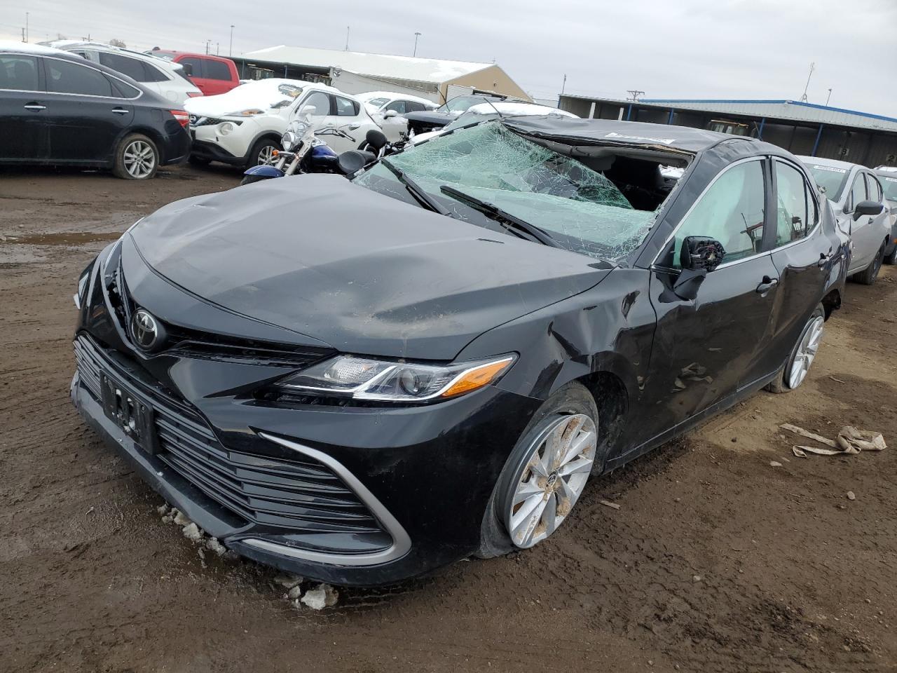 2024 TOYOTA CAMRY LE