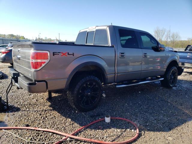 2010 Ford F150 Supercrew - Фото 3
