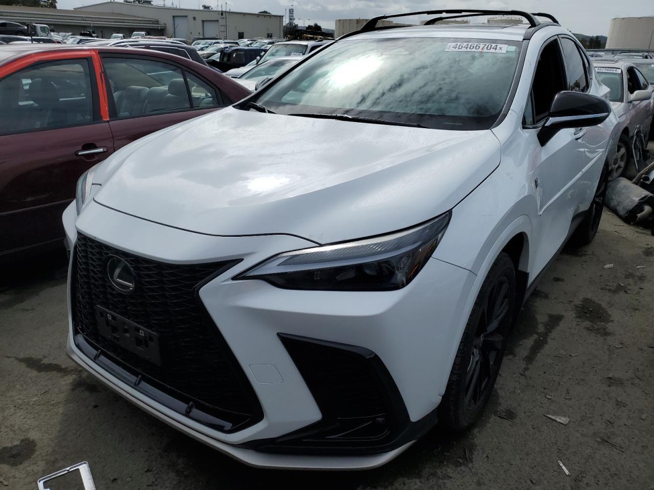 2024 LEXUS NX 350 LUX