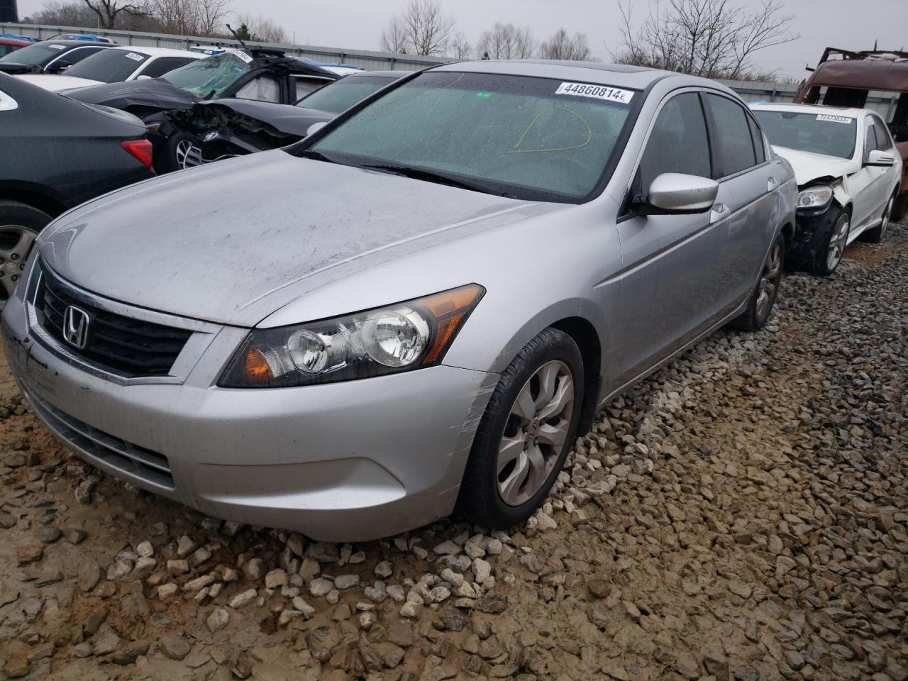 2010 HONDA ACCORD EXL