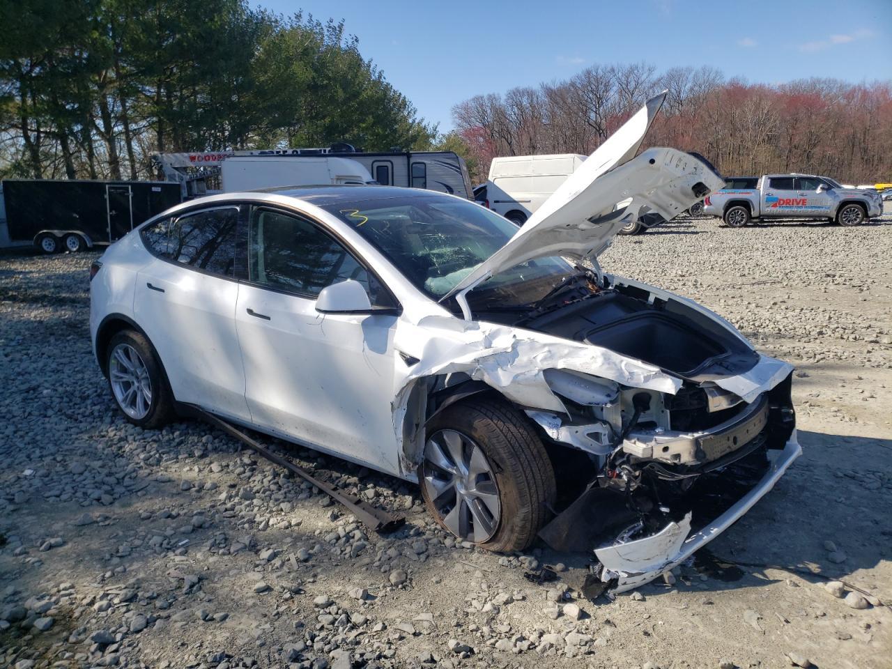 2023 TESLA MODEL Y - Image 4