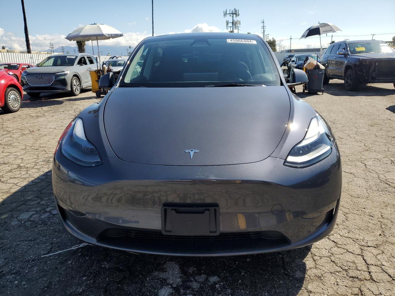 2023 TESLA MODEL Y - Фото 5