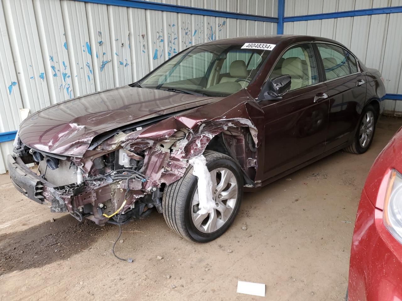 2010 HONDA ACCORD EXL