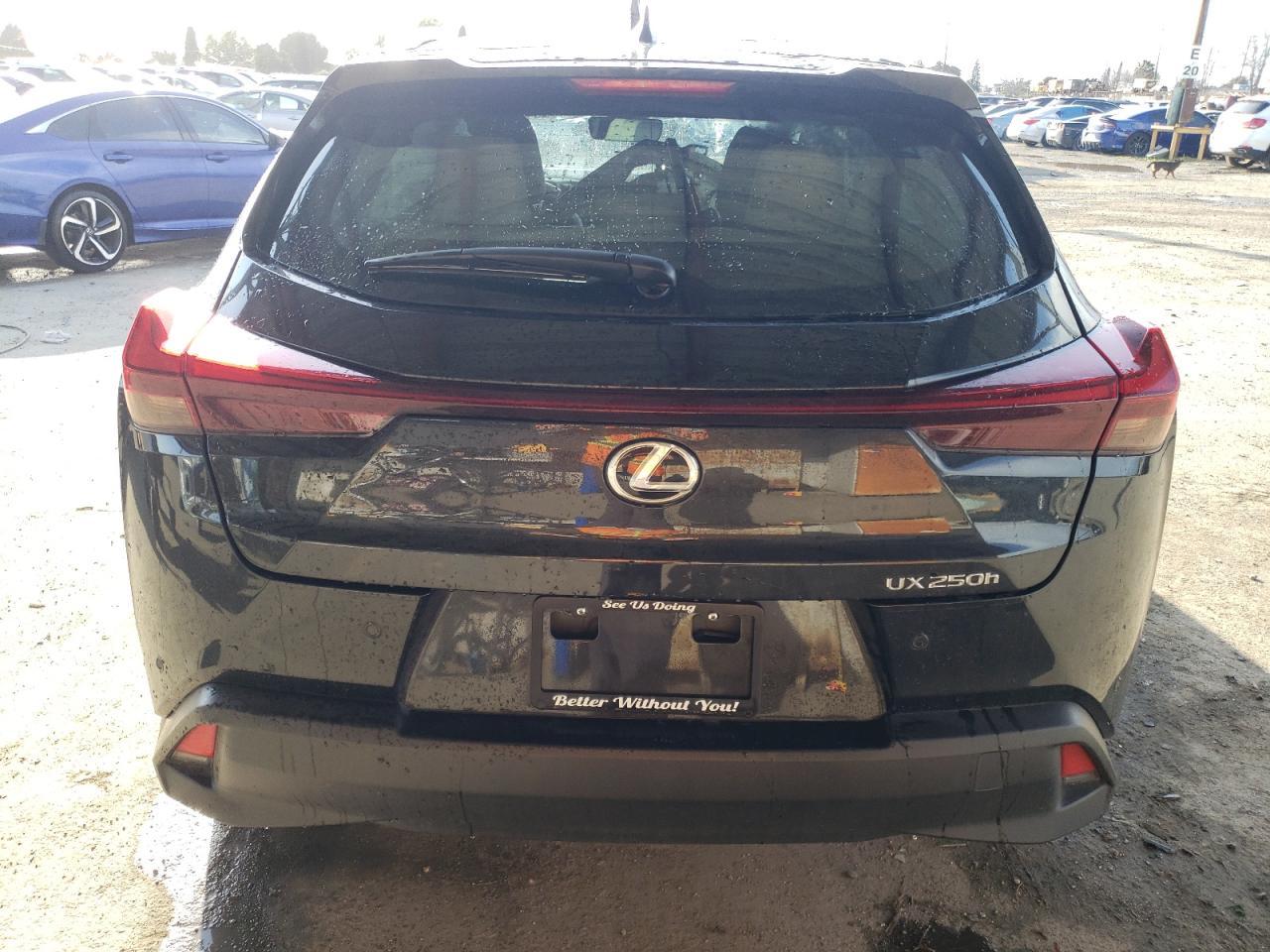 2023 LEXUS UX 250H BA - Фото 6