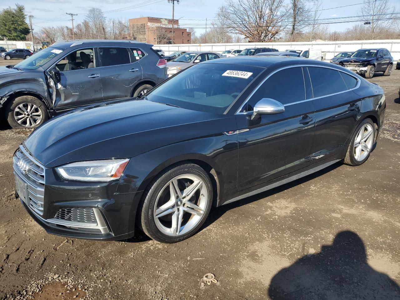 2018 AUDI S5 PREMIUM car image