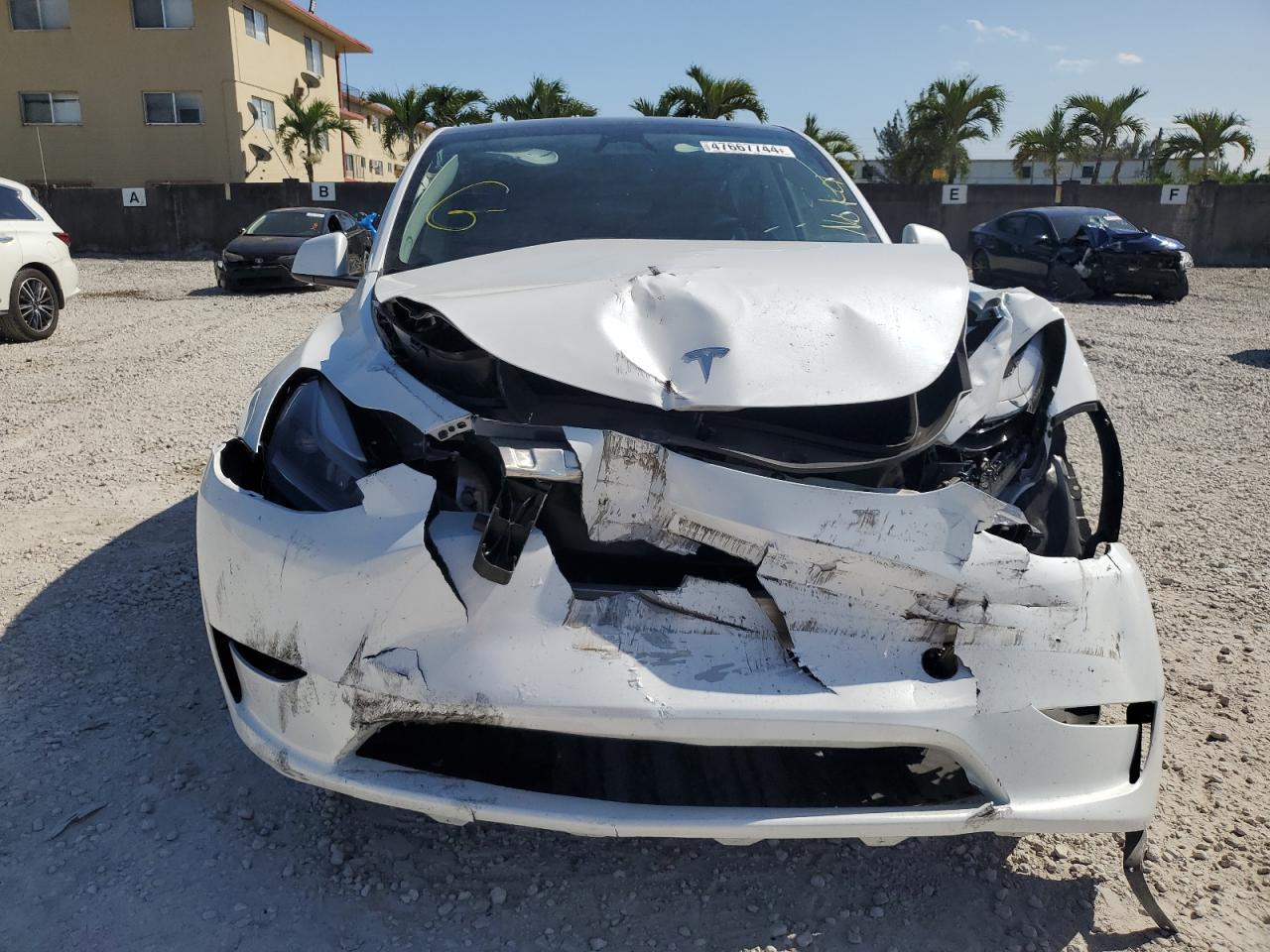 2023 TESLA MODEL Y - Фото 5