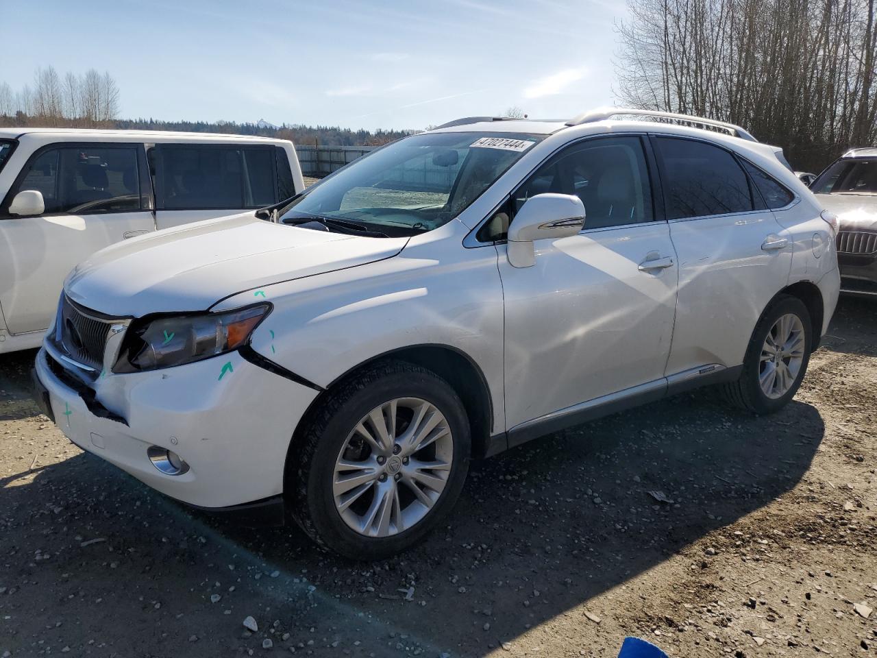 2010 LEXUS RX 450 car image