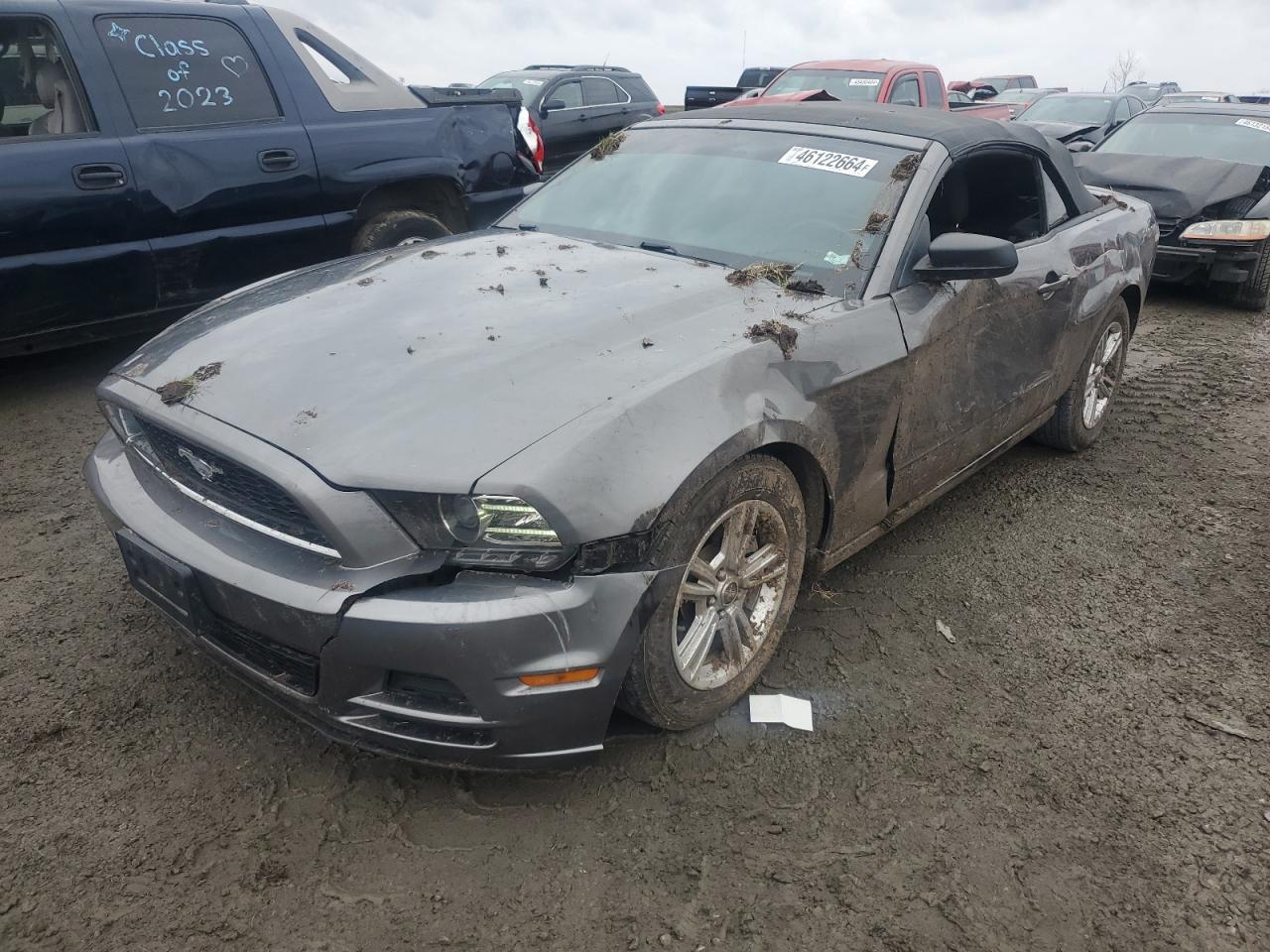 2014 FORD MUSTANG car image