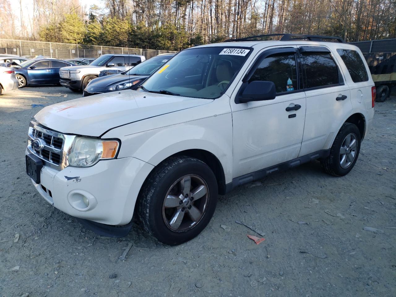 2010 FORD ESCAPE XLT