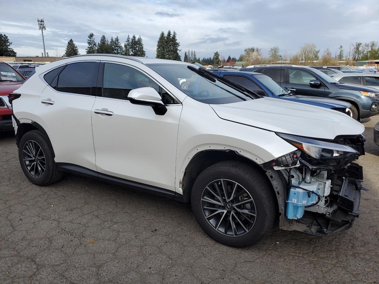 2023 LEXUS NX 350H - Фото 4