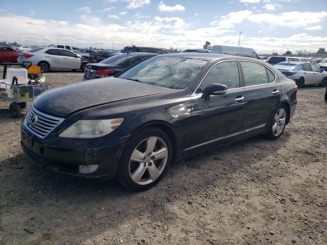 2011 LEXUS LS 460L car image