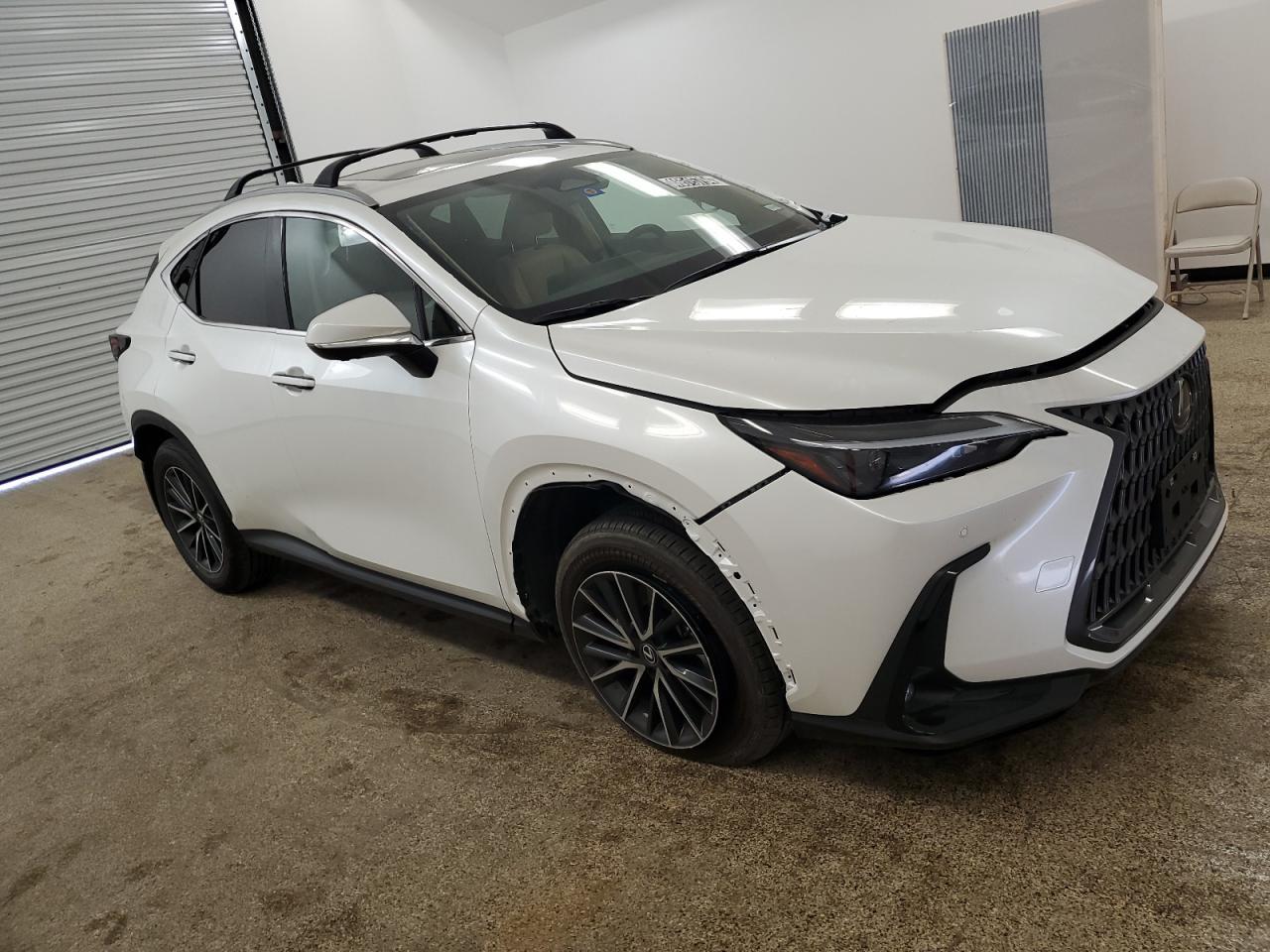 2024 LEXUS NX 350H BA - Image 4