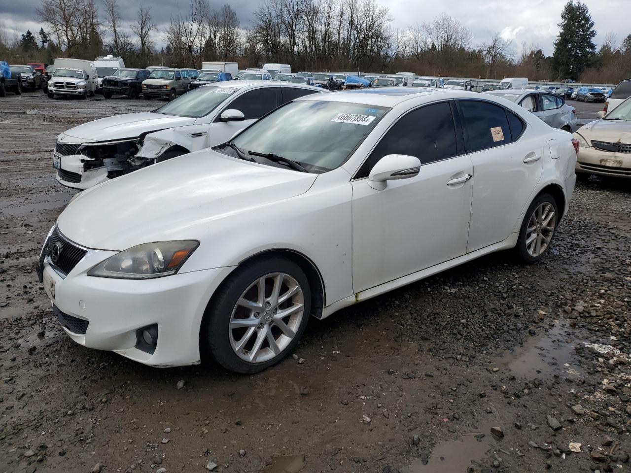 2011 LEXUS IS 250