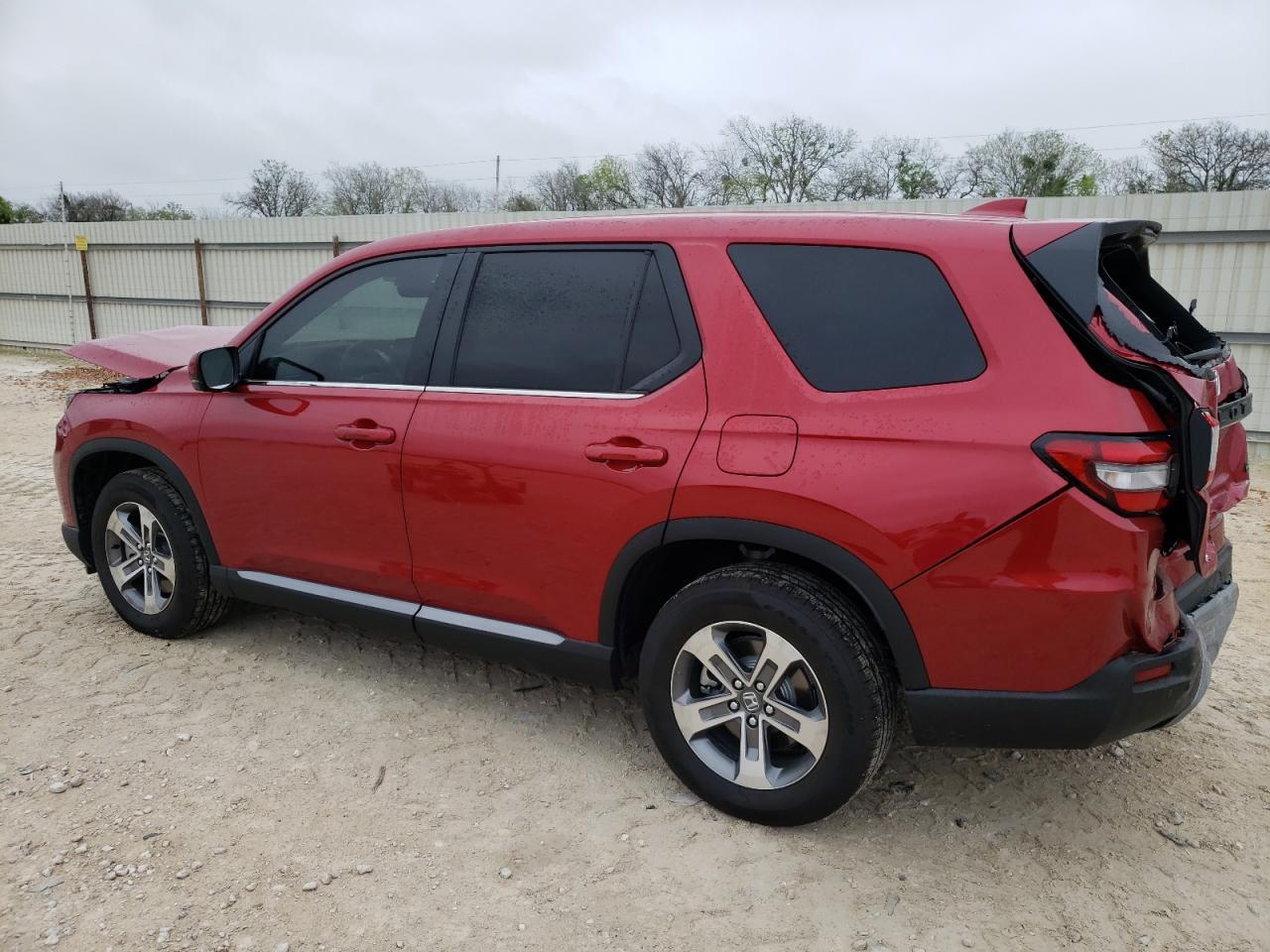2024 HONDA PILOT EXL - Фото 2
