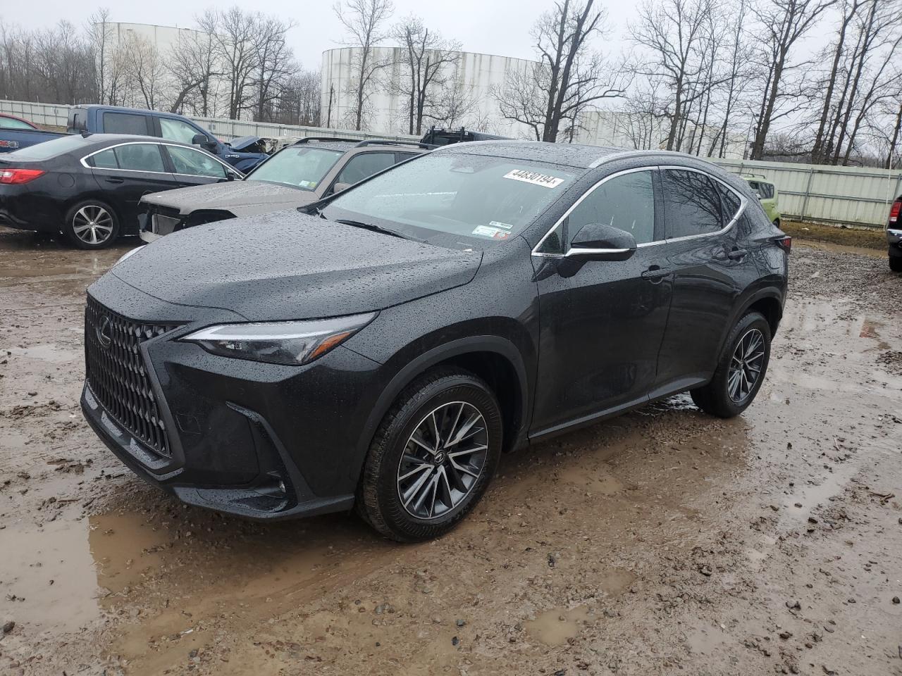 2024 LEXUS NX 350 PRE car image