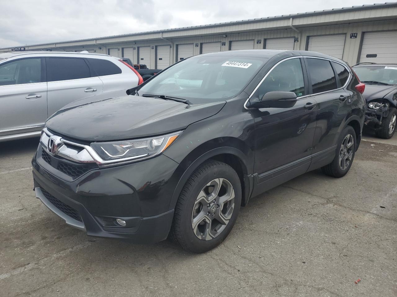 2019 HONDA CR-V EX