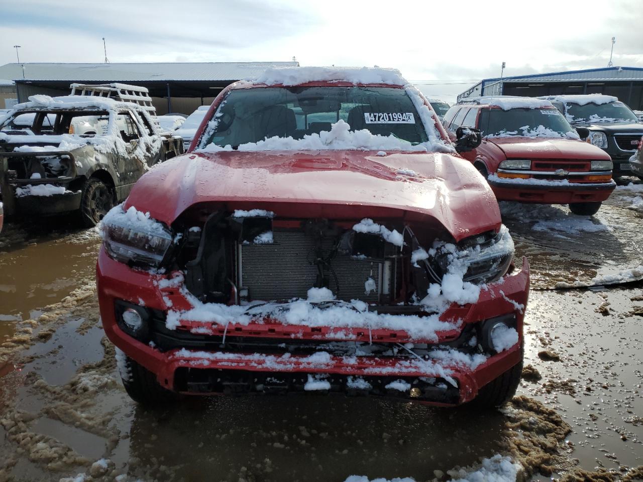 2023 TOYOTA TACOMA DOU - Фото 5