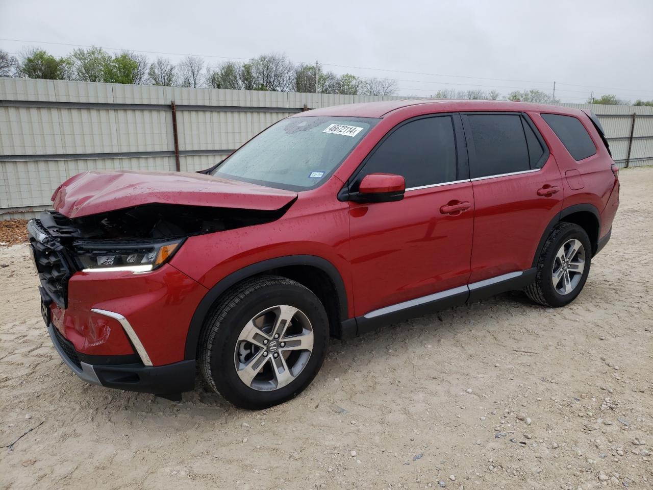 2024 HONDA PILOT EXL