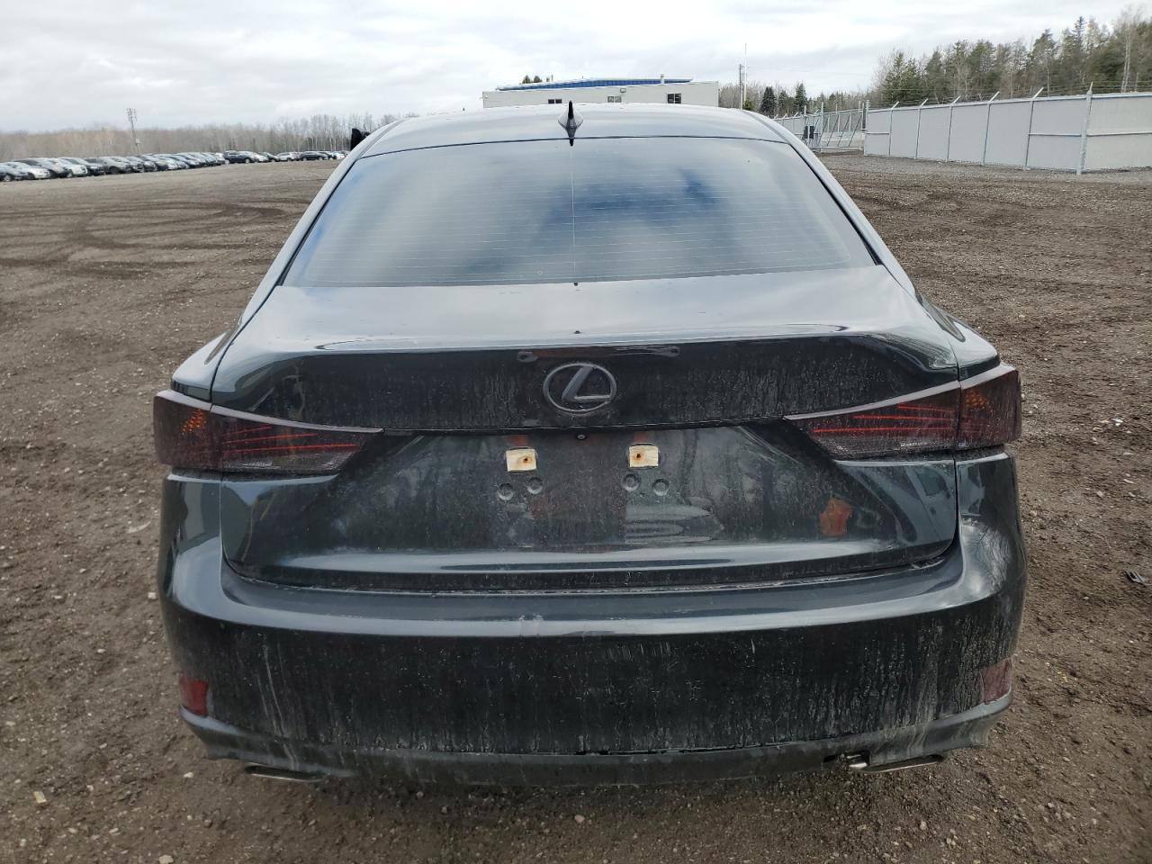 2019 LEXUS IS 300 - Image 6