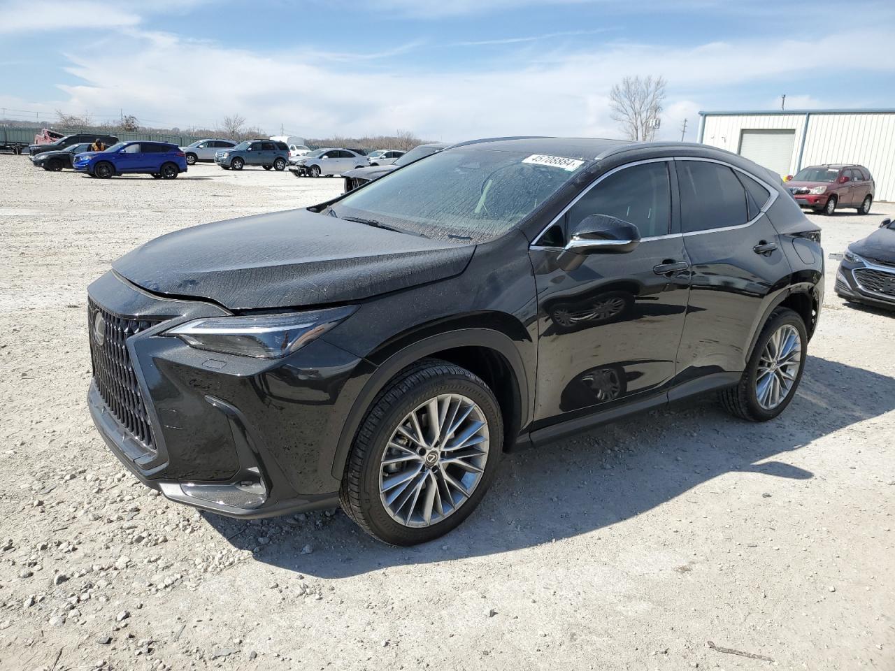 2023 LEXUS NX 350