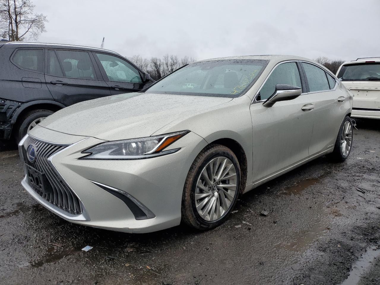 2019 LEXUS ES 300H car image