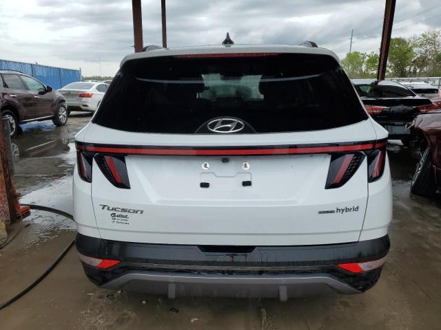 2023 Hyundai Tucson Limited - Image 6