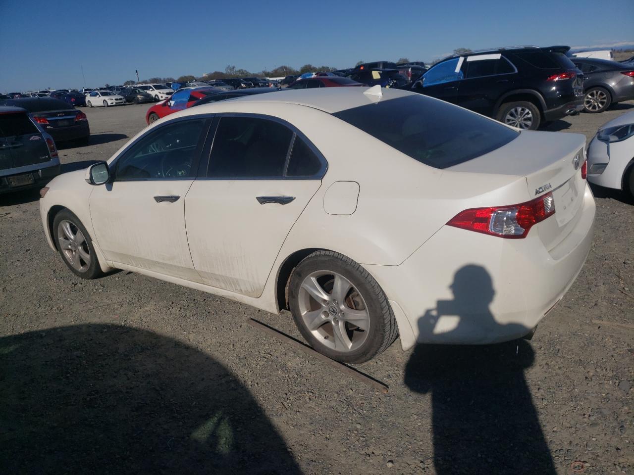 2010 ACURA TSX - Image 2