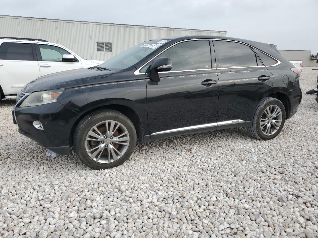 2013 LEXUS RX 450 car image