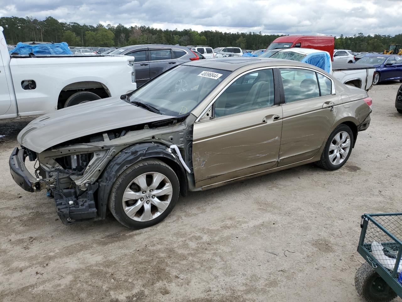 2010 HONDA ACCORD EXL