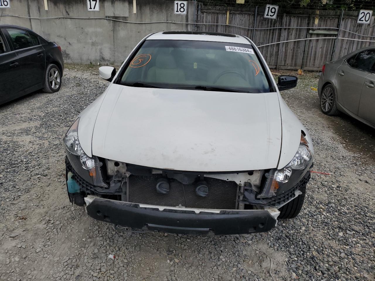 2010 HONDA ACCORD EXL - Image 5