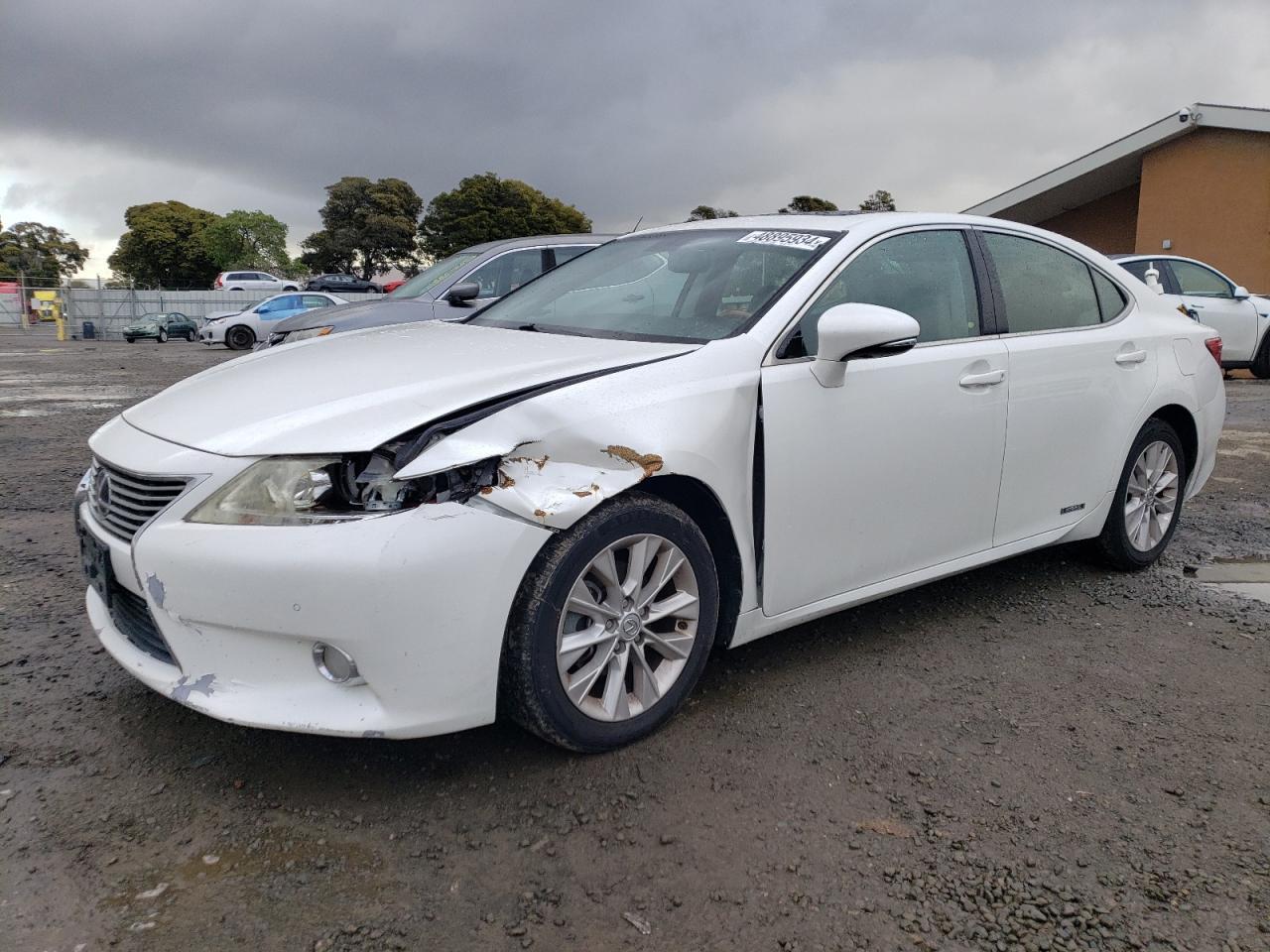 2013 LEXUS ES 300H car image