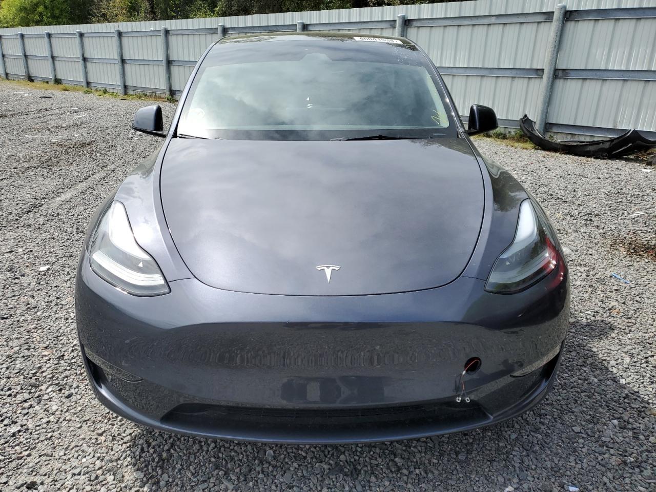 2023 TESLA MODEL Y - Фото 5