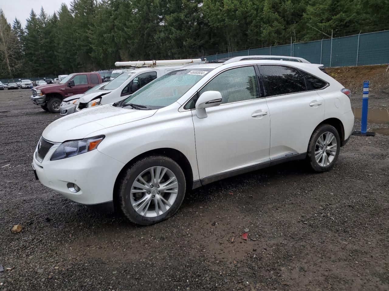 2012 LEXUS RX 450 car image