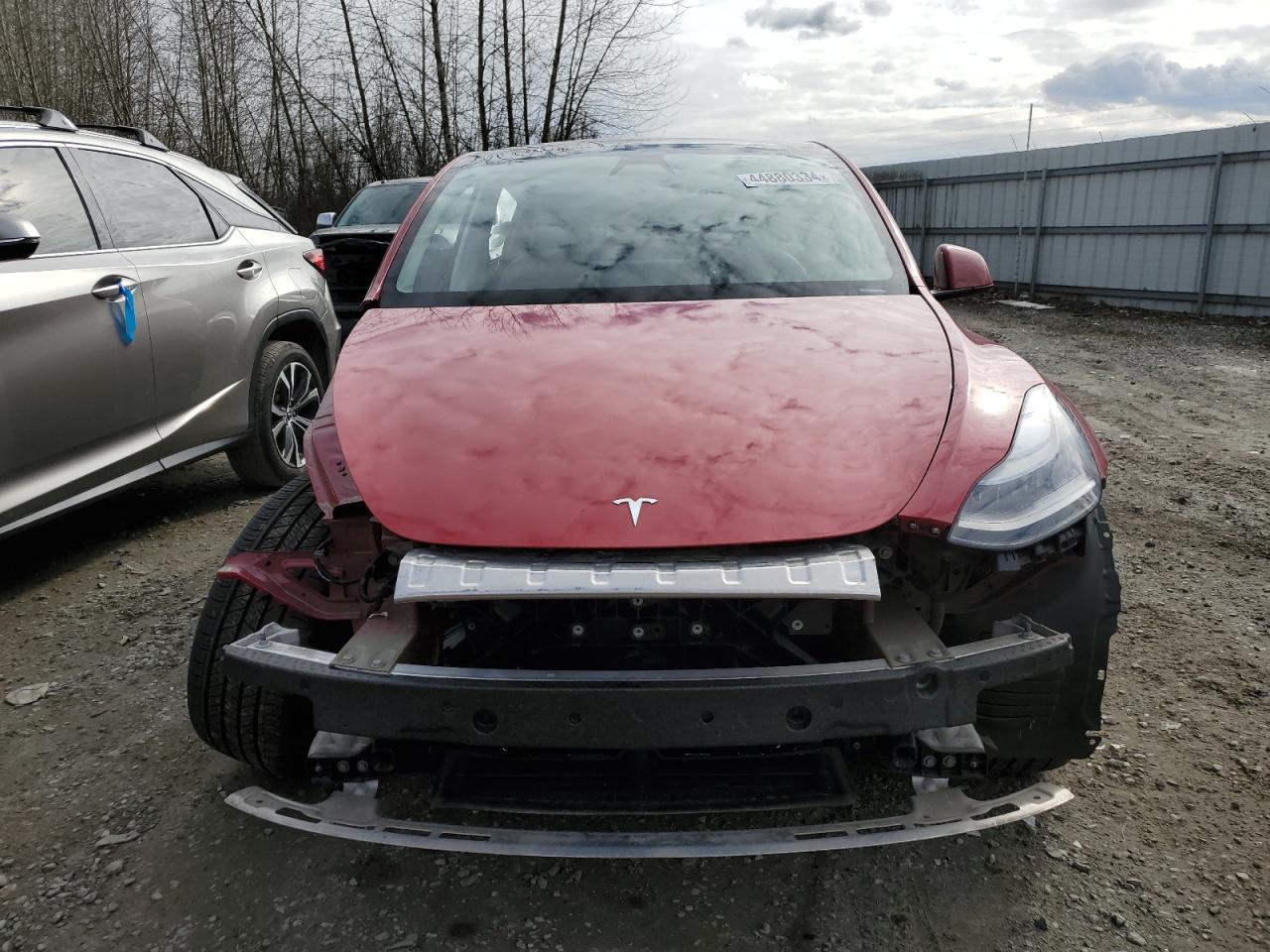 2023 TESLA MODEL Y - Image 5