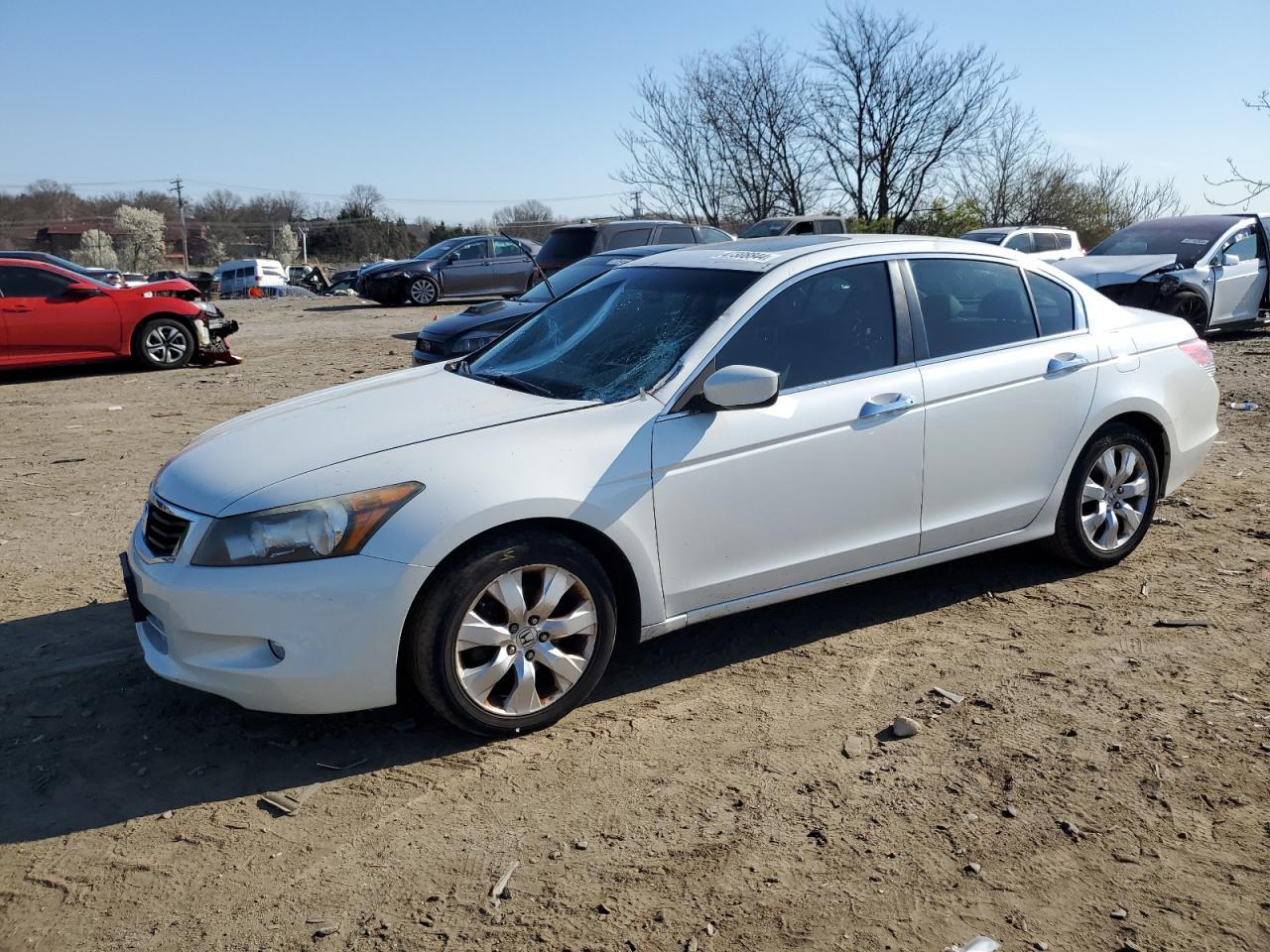 2010 HONDA ACCORD EXL