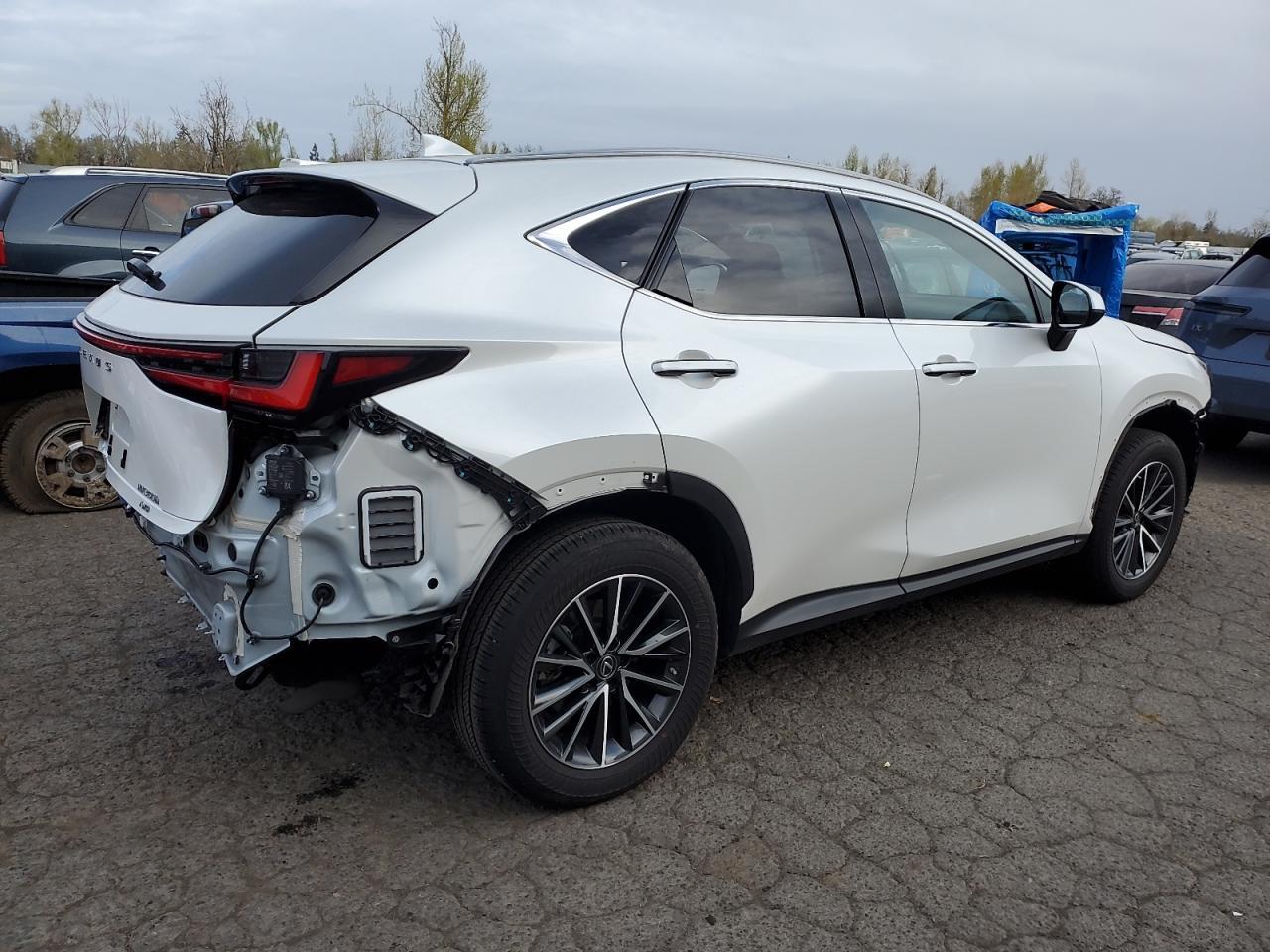 2023 LEXUS NX 350H - Фото 3