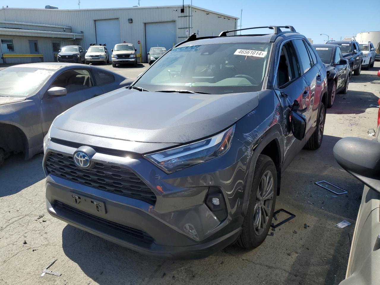 2024 TOYOTA RAV4 XLE P