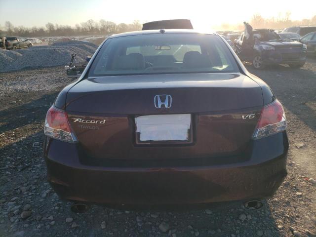 2010 Honda Accord Exl - Фото 6