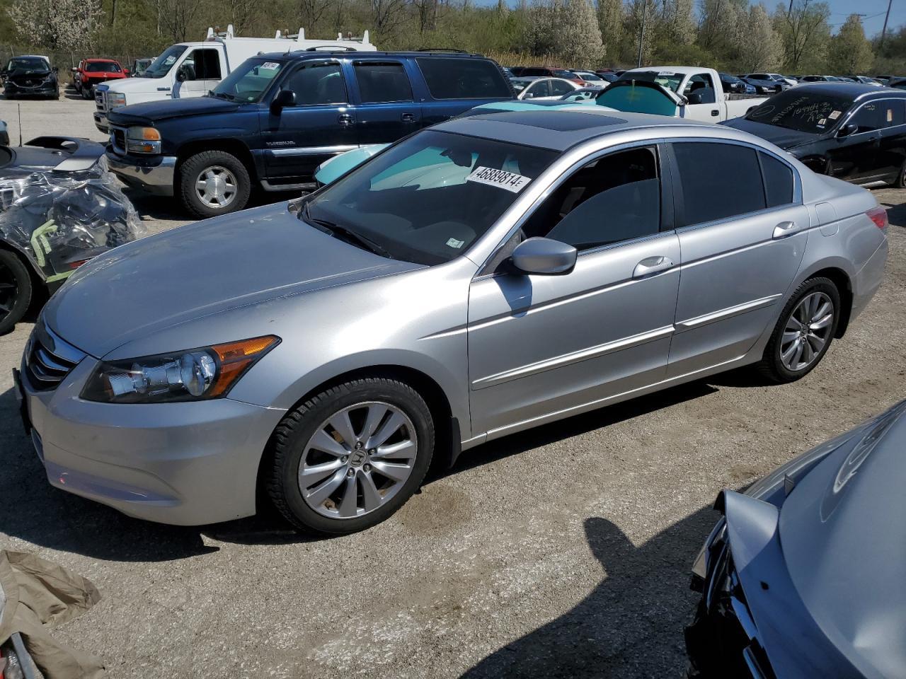 2011 HONDA ACCORD EXL car image