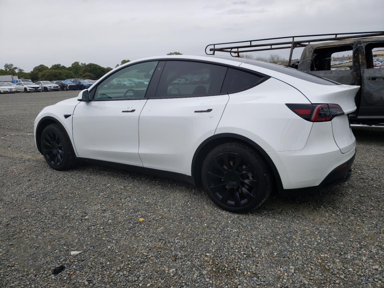 2023 TESLA MODEL Y - Image 2