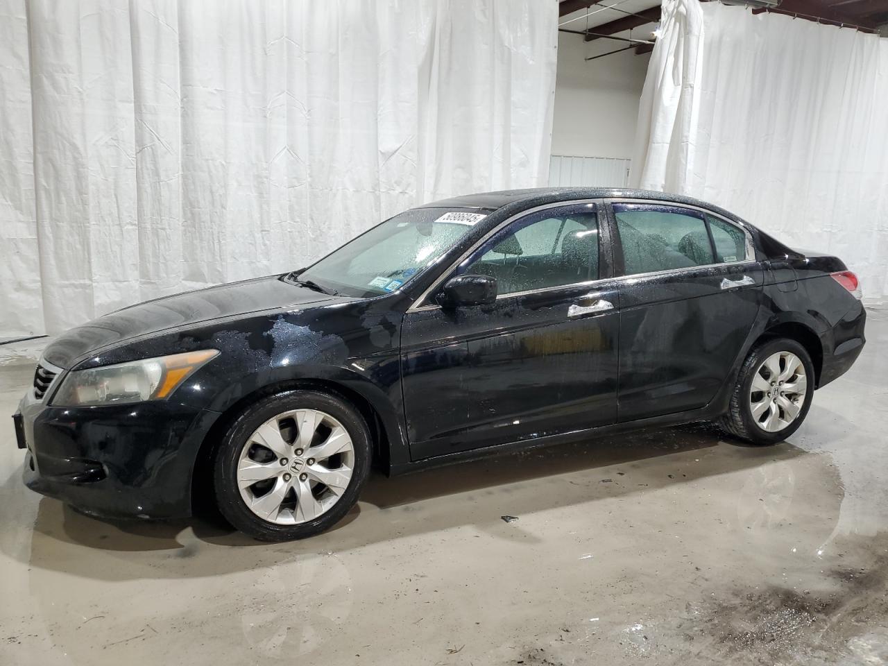 2010 HONDA ACCORD EXL