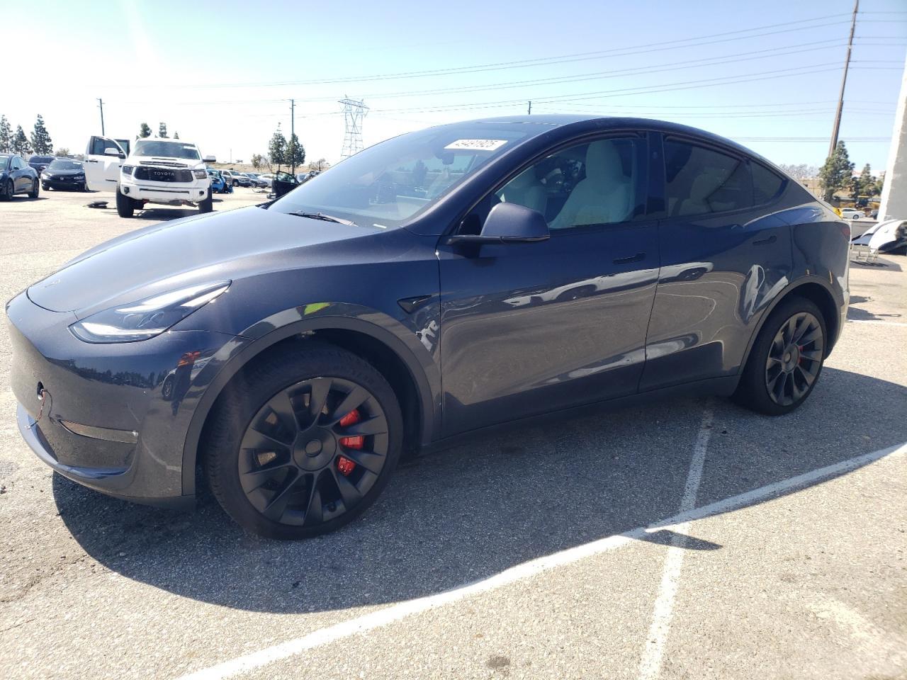 2024 TESLA MODEL Y